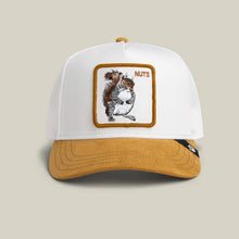 Load image into Gallery viewer, Goorin Bros Suede Squirrel Trucker (101-2964)