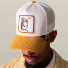Load image into Gallery viewer, Goorin Bros Suede Squirrel Trucker (101-2964)